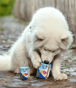 Hondenvoer Natvoer vers bereid Tetra puppy kip met lam