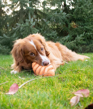 Hondenspeelgoed Snackspeeltje Nibble me  Rugby  Oranje