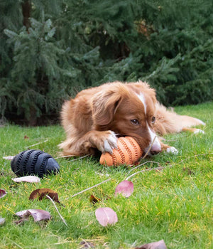 Hondenspeelgoed Snackspeeltje Nibble me  Rugby zwart