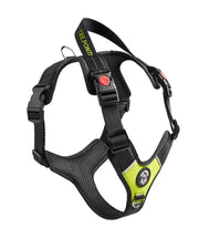 Hondentuig Harmonia maat M - 10 tot 20 kg