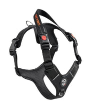 Hondentuig Harmonia maat L - 20 tot 30 kg