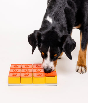 Hondenpuzzel Maze set Level 3