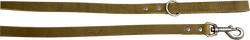 Olijf