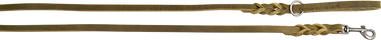 Olijf