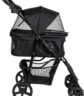 Buggy