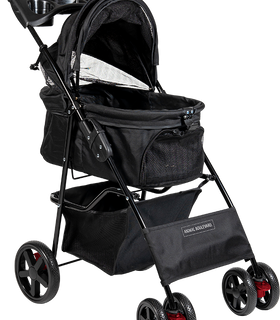 Buggy