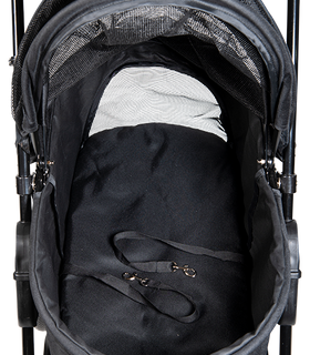 Buggy