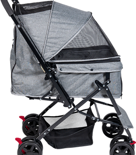 Buggy grijs