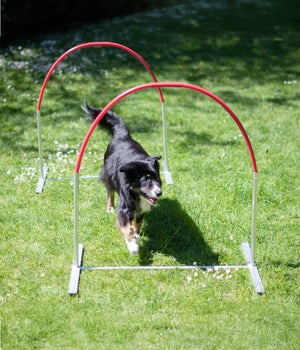 Agility Alu Hooper 100x90 cm