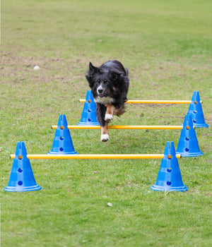 Agility Pylon 30 cm  hoog per stuk