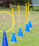 Agility Pylon 30 cm  hoog per stuk