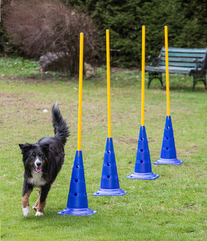 Agility Pylon  51 cm  hoog per stuk