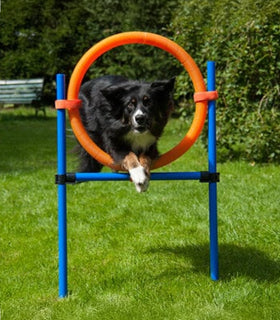 Agility set K2 Tunnel, slalom 4 palen,  Horde en springring
