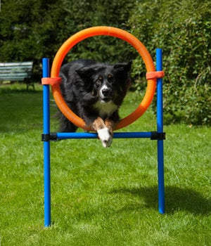 Agility set K2 Tunnel, slalom 4 palen,  Horde en springring