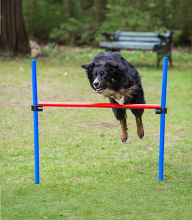 Agility set K2 Tunnel, slalom 4 palen,  Horde en springring