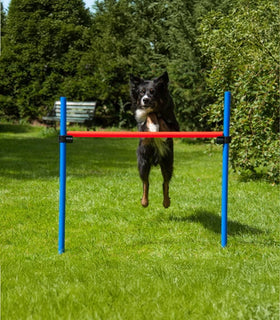 Agility set K2 Tunnel, slalom 4 palen,  Horde en springring
