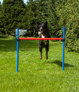 Agility set K2 Tunnel, slalom 4 palen,  Horde en springring