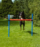 Agility set K2 Tunnel, slalom 4 palen,  Horde en springring