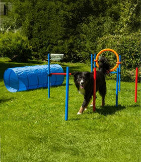 Agility set K2 Tunnel, slalom 4 palen,  Horde en springring