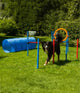 Agility set K2 Tunnel, slalom 4 palen,  Horde en springring