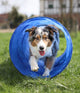 Agility Tunnel 152 cm x 60 cm
