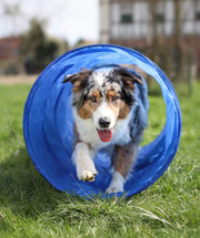 Agility Tunnel 152 cm x 60 cm