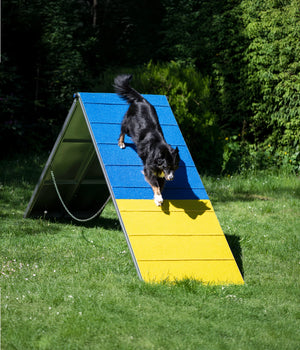 Agility A-Wand FCI Conform