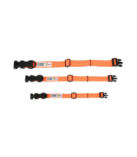 Halsband Oranje Action Collar