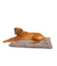Benchkussen 51 sheep beige 119x73x2