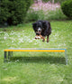 Agility Breedte sprong met paaltjes conform FCI richtlijnen