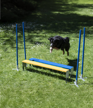 Agility Breedte sprong met paaltjes conform FCI richtlijnen