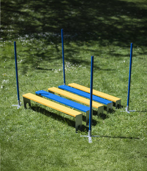 Agility Breedte sprong met paaltjes conform FCI richtlijnen