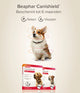 Vlooienband en tekenband Canishield hond groot