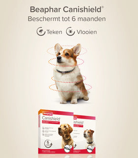Vlooienband en tekenband Canishield hond klein / middel