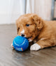 Puppypakket voor grote honden