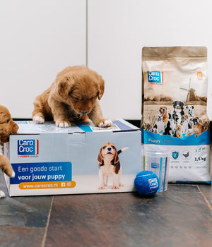 Puppypakket voor kleine en middelgrote honden