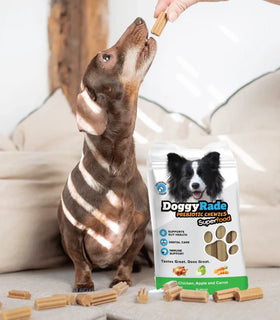 Superfood Chews Chicken, Apple and Carrot