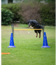 Agility Pylon  51 cm  hoog per stuk