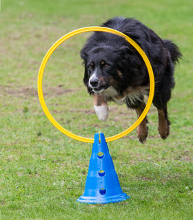 Agility Pylon 30 cm  hoog per stuk