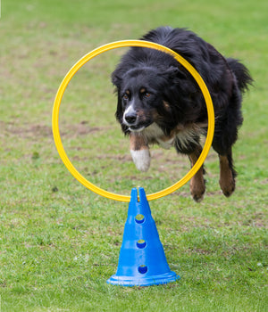 Agility Ring Geel