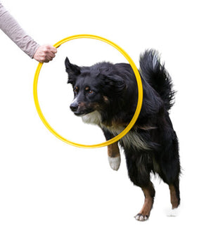 Agility Ring Geel