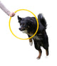Agility Ring Geel