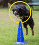 Agility Pylon  51 cm  hoog per stuk