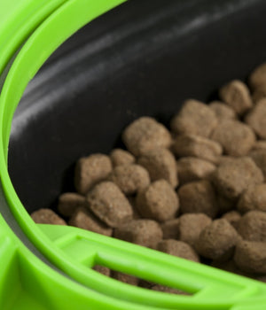 Voerton Dry Box  Deluxe 13 zwart/groen