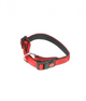 Halsband Nylon met zachte voering en snelsluiting 15 mm x 25-35 cm