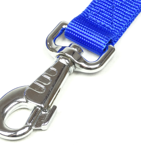 Hondenriem Nylon 25 mm x 180 cm