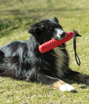 Trainingsdummy 27 cm