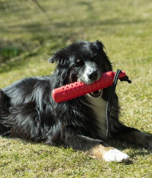 Trainingsdummy 27 cm