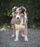 Trainings Dummy Eend 300 gram 31 cm