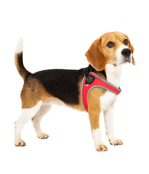 Hondentuigje Fibbia Maat 3,5 reflecterend